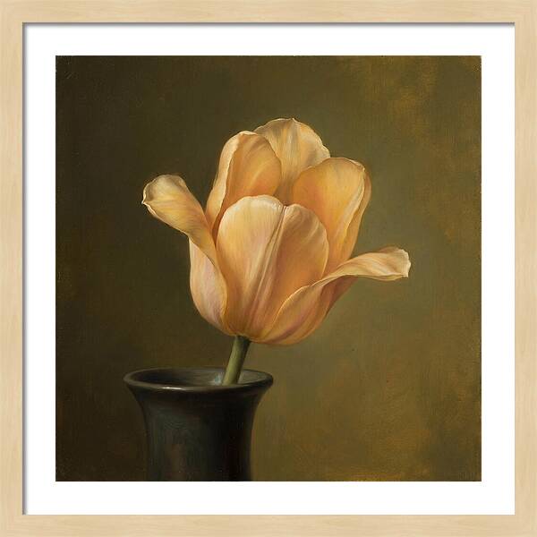 Golden Tulip Serenity