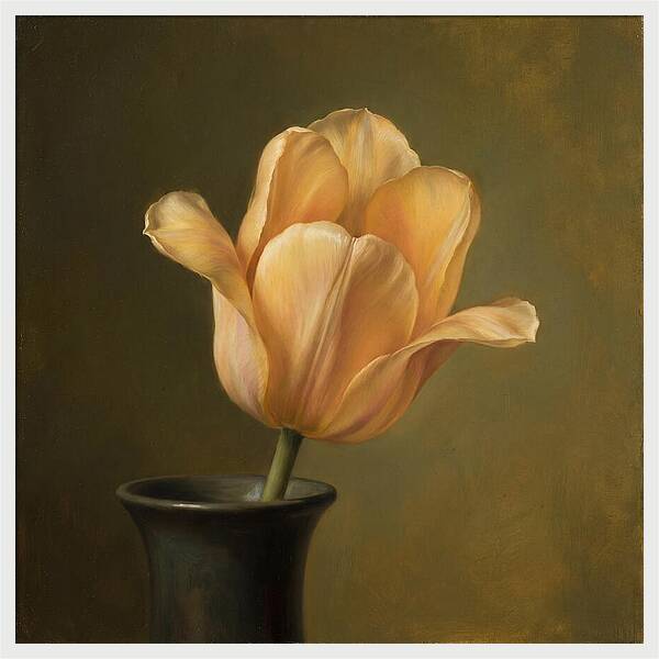 Golden Tulip Serenity
