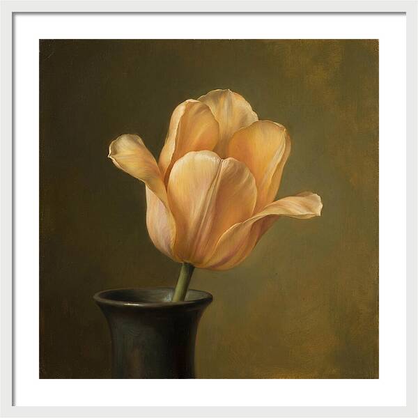 Golden Tulip Serenity