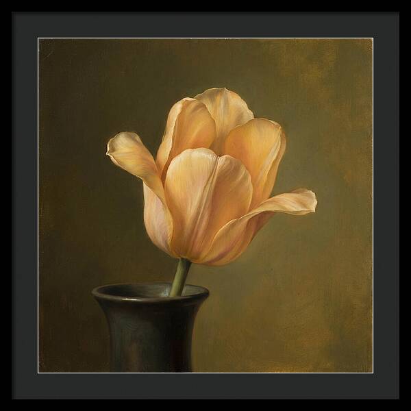 Golden Tulip Serenity