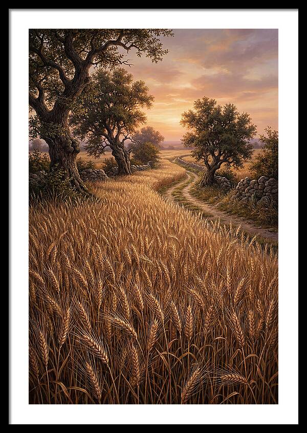 Golden Wheat Field At Sunset