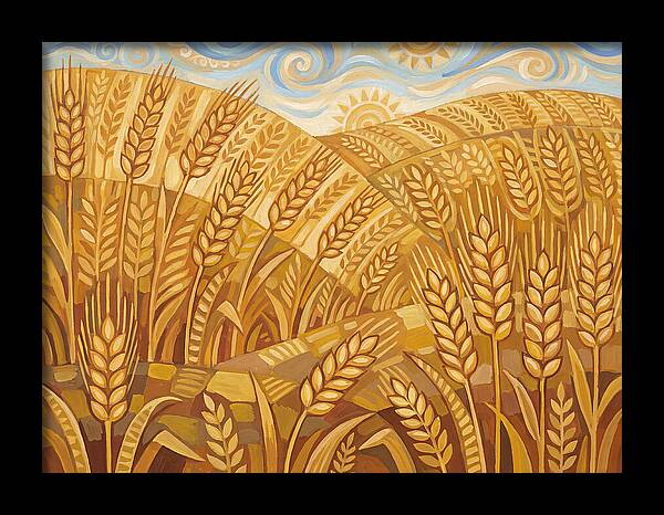 Golden Wheat Fields Under Blue Sky