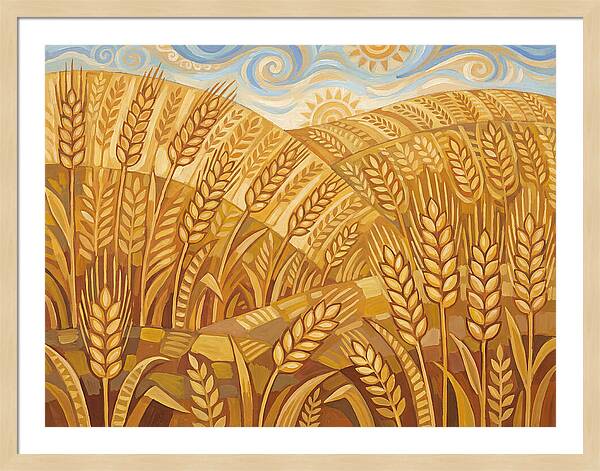 Golden Wheat Fields Under Blue Sky