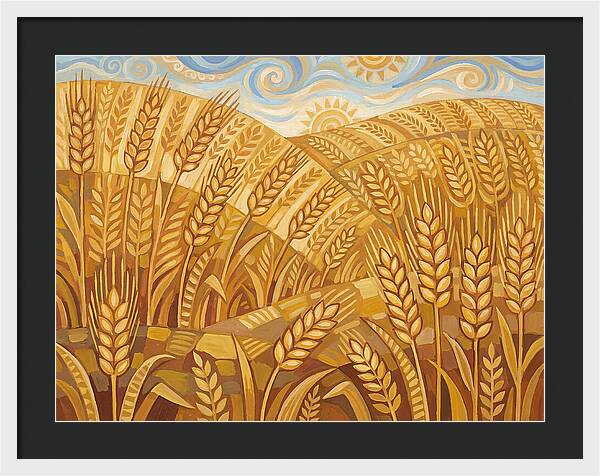 Golden Wheat Fields Under Blue Sky