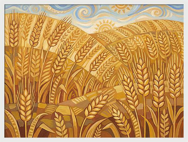 Golden Wheat Fields Under Blue Sky