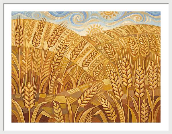 Golden Wheat Fields Under Blue Sky