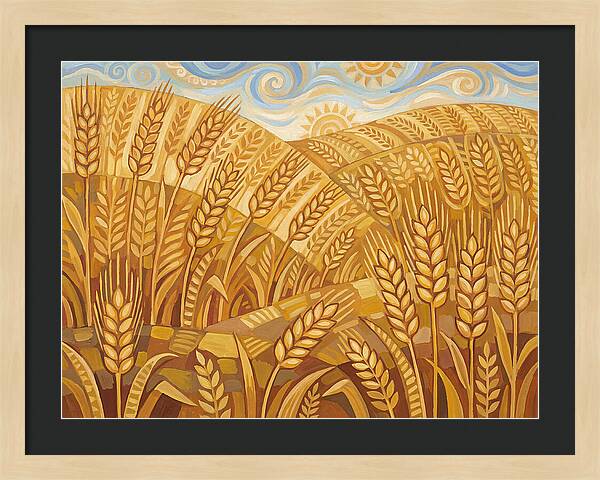 Golden Wheat Fields Under Blue Sky