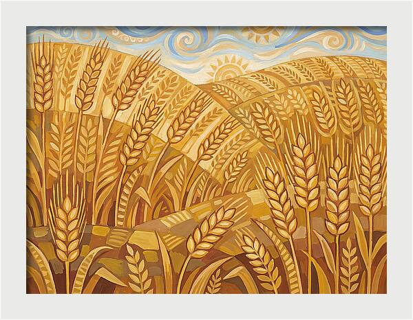 Golden Wheat Fields Under Blue Sky