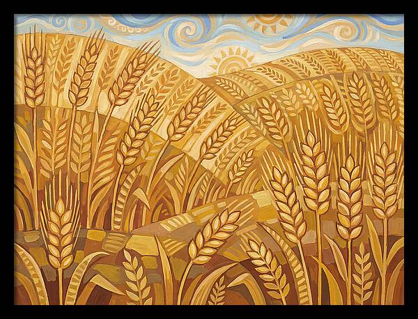 Golden Wheat Fields Under Blue Sky