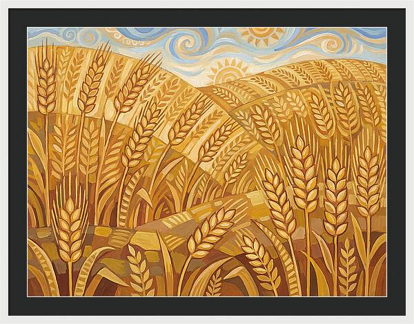 Golden Wheat Fields Under Blue Sky