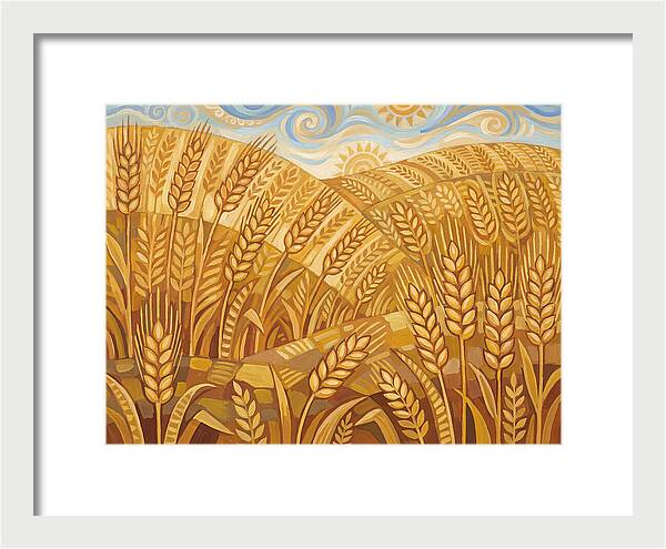 Golden Wheat Fields Under Blue Sky