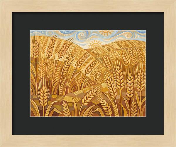 Golden Wheat Fields Under Blue Sky