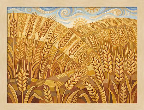 Golden Wheat Fields Under Blue Sky
