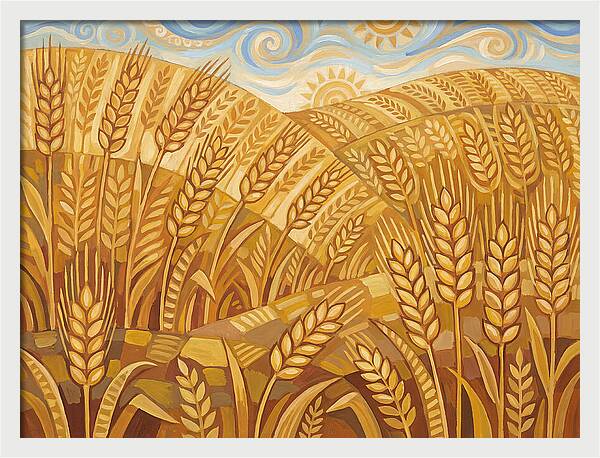 Golden Wheat Fields Under Blue Sky