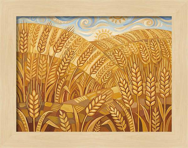 Golden Wheat Fields Under Blue Sky