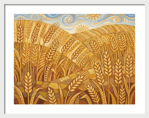 Golden Wheat Fields Under Blue Sky