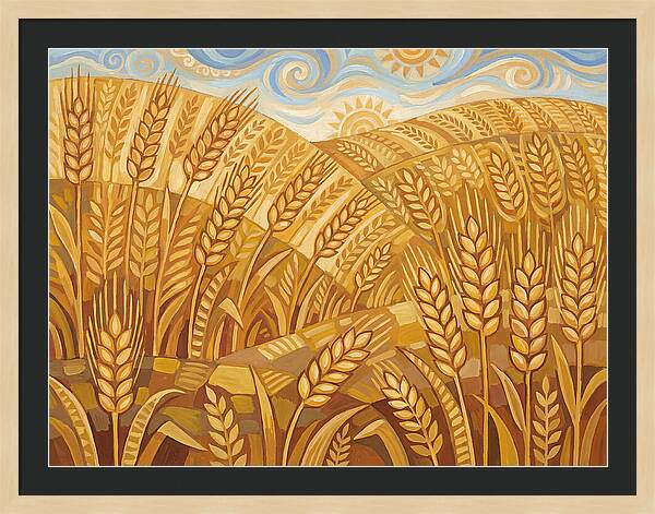 Golden Wheat Fields Under Blue Sky