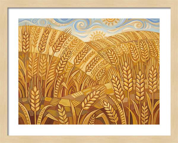Golden Wheat Fields Under Blue Sky