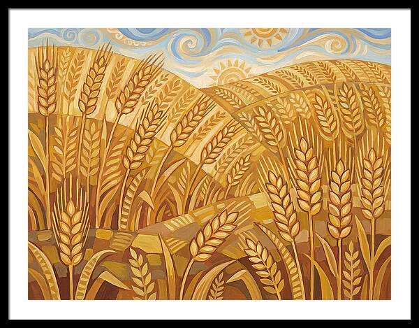 Golden Wheat Fields Under Blue Sky