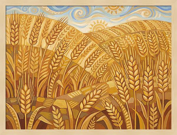 Golden Wheat Fields Under Blue Sky