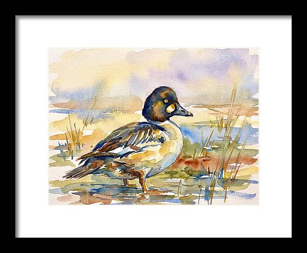 Goldeneye Duck In Watercolor