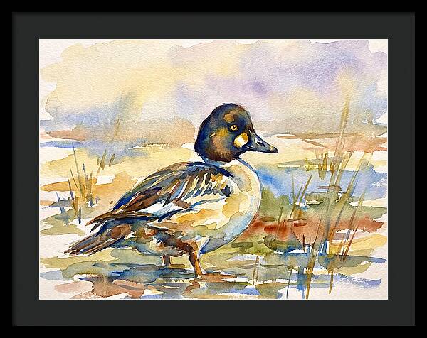 Goldeneye Duck In Watercolor