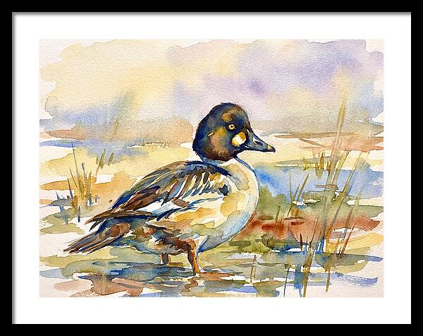 Goldeneye Duck In Watercolor