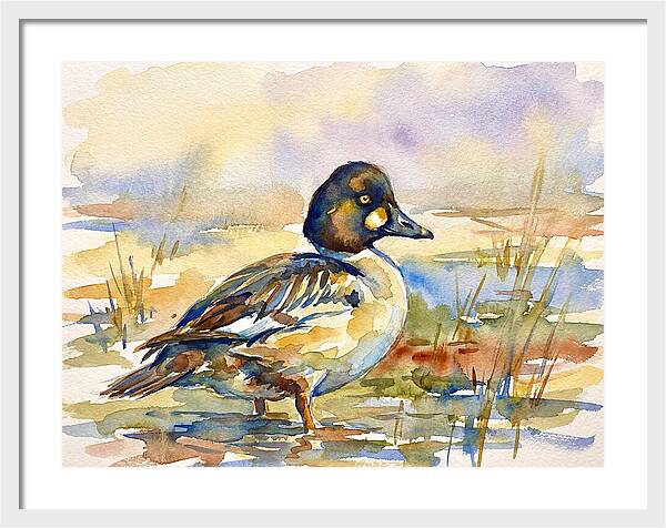 Goldeneye Duck In Watercolor