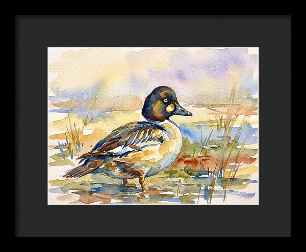 Goldeneye Duck In Watercolor