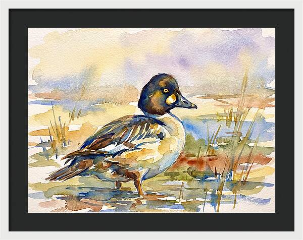 Goldeneye Duck In Watercolor