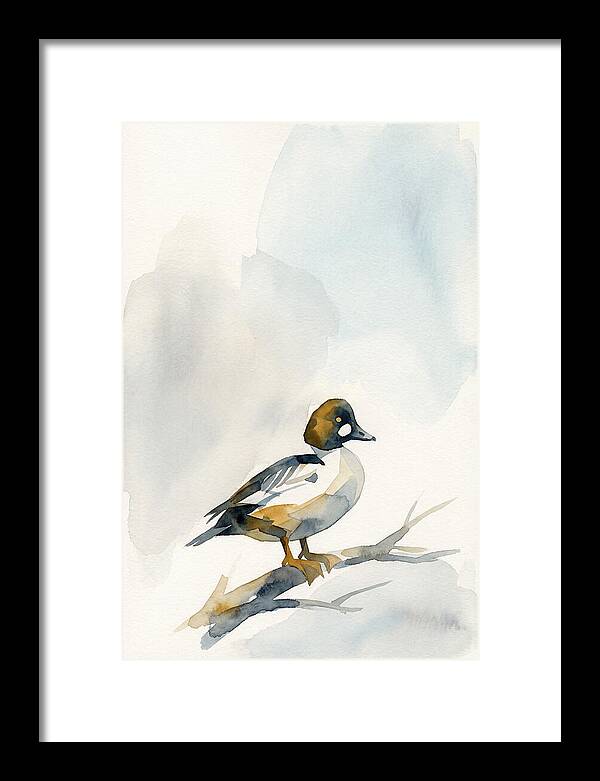 Goldeneye Duck Perched Gracefully
