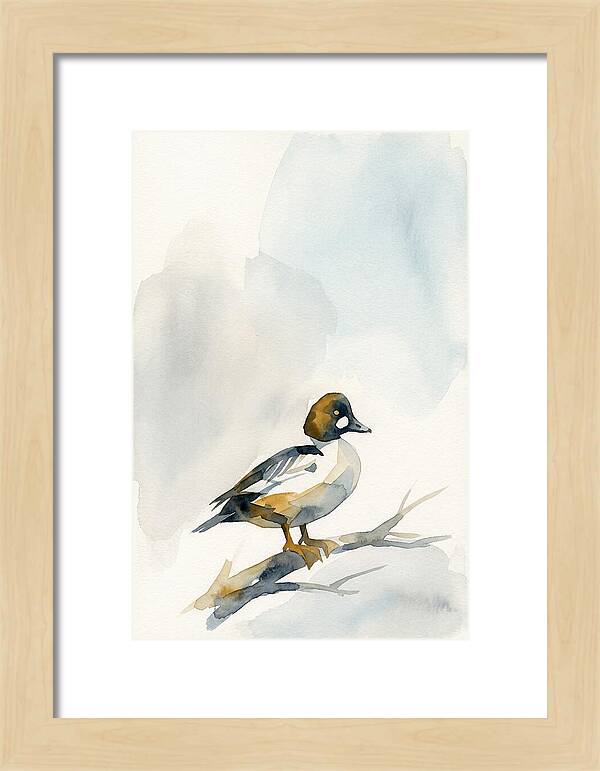 Goldeneye Duck Perched Gracefully