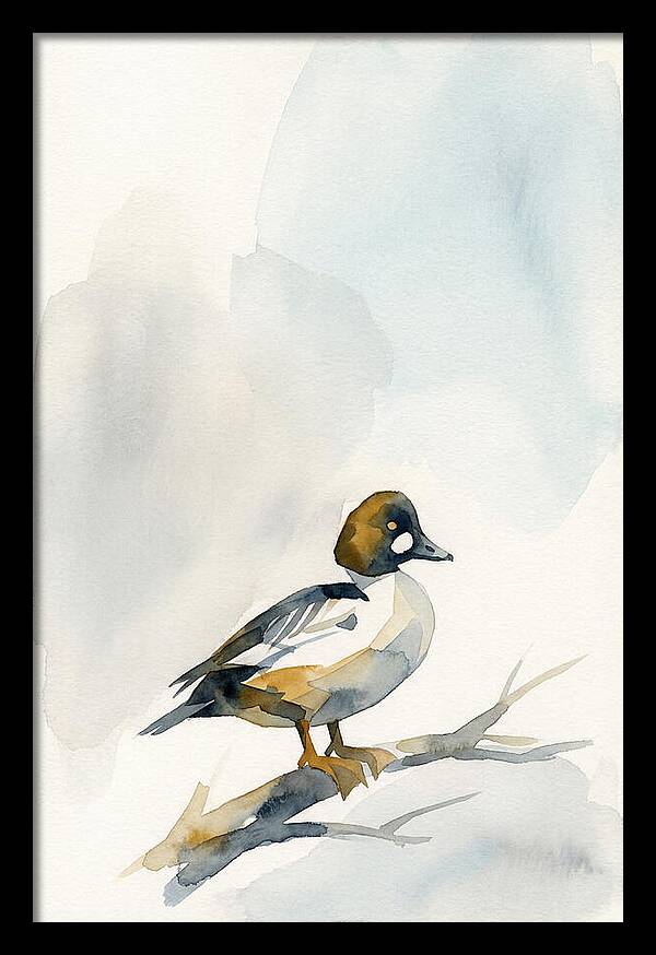 Goldeneye Duck Perched Gracefully