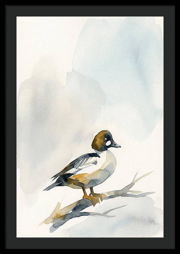 Goldeneye Duck Perched Gracefully