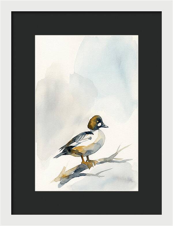 Goldeneye Duck Perched Gracefully