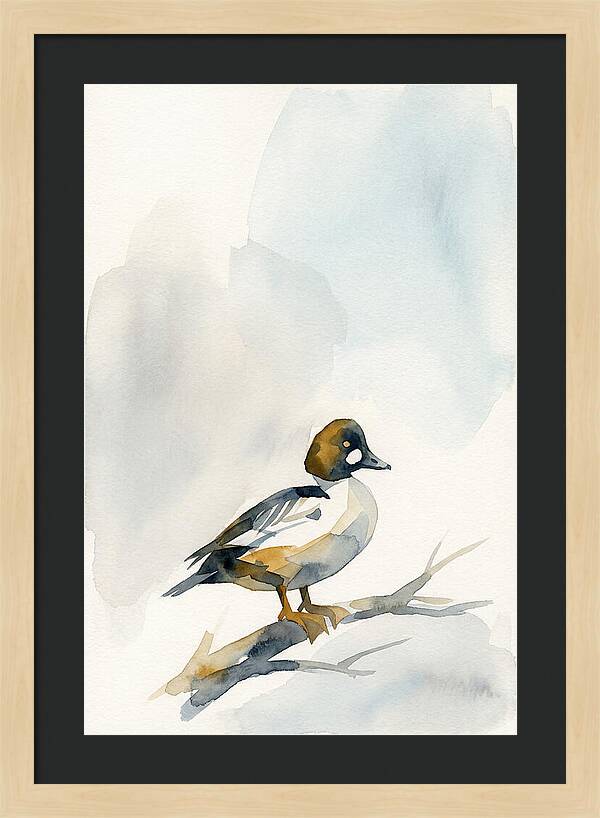 Goldeneye Duck Perched Gracefully