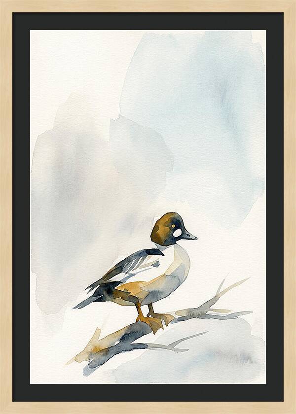 Goldeneye Duck Perched Gracefully