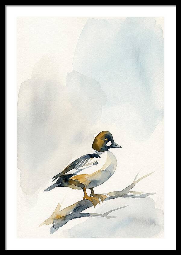 Goldeneye Duck Perched Gracefully