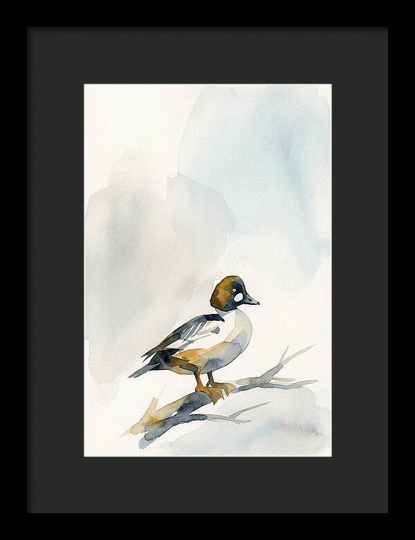 Goldeneye Duck Perched Gracefully
