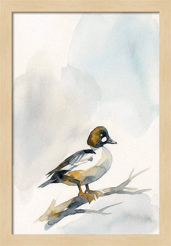 Goldeneye Duck Perched Gracefully