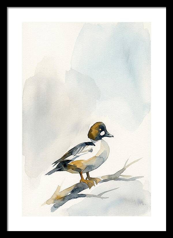 Goldeneye Duck Perched Gracefully