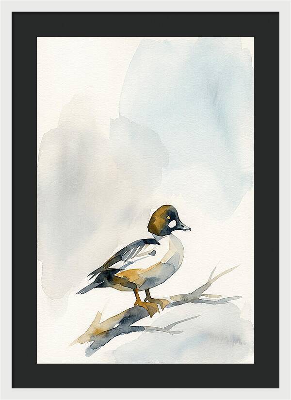 Goldeneye Duck Perched Gracefully