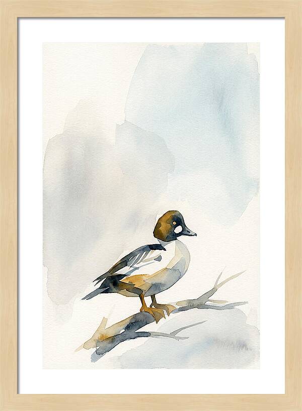 Goldeneye Duck Perched Gracefully