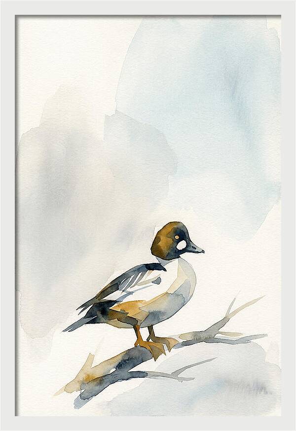 Goldeneye Duck Perched Gracefully