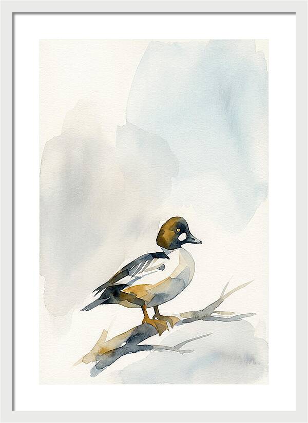 Goldeneye Duck Perched Gracefully