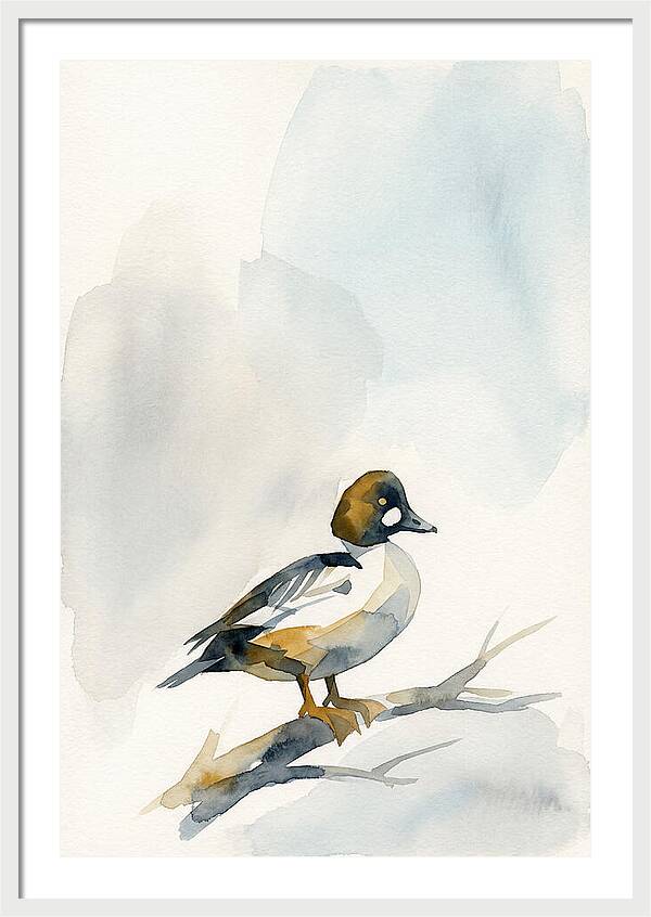 Goldeneye Duck Perched Gracefully