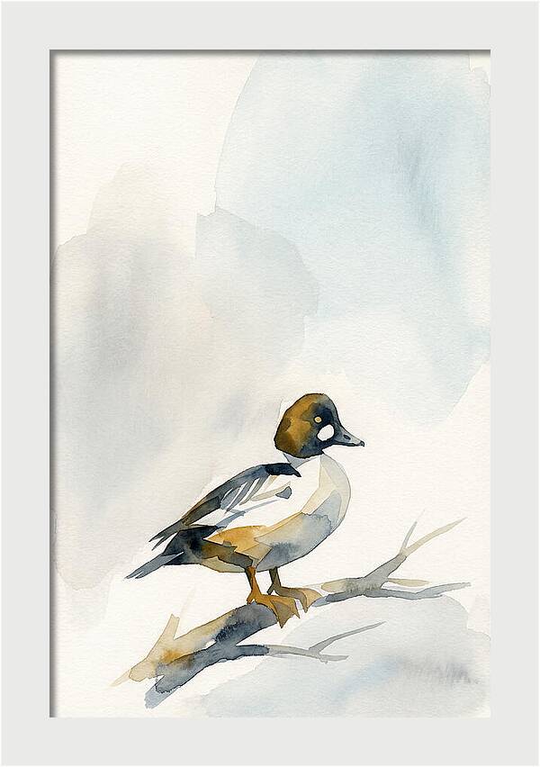 Goldeneye Duck Perched Gracefully