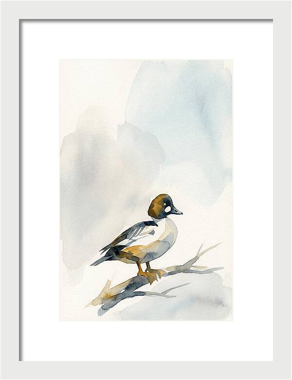 Goldeneye Duck Perched Gracefully