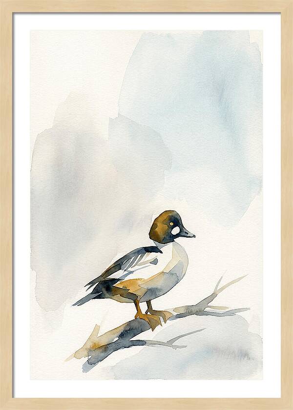 Goldeneye Duck Perched Gracefully