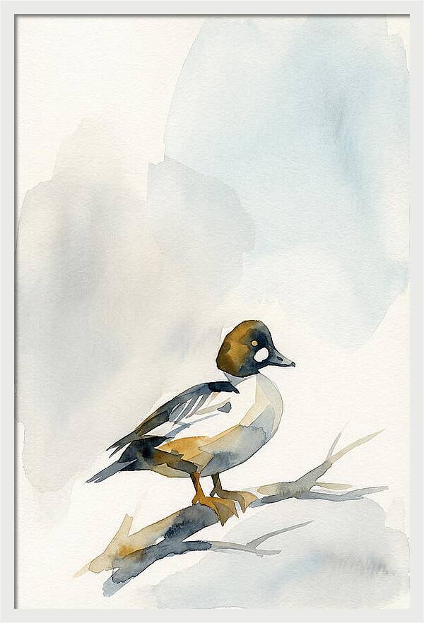 Goldeneye Duck Perched Gracefully